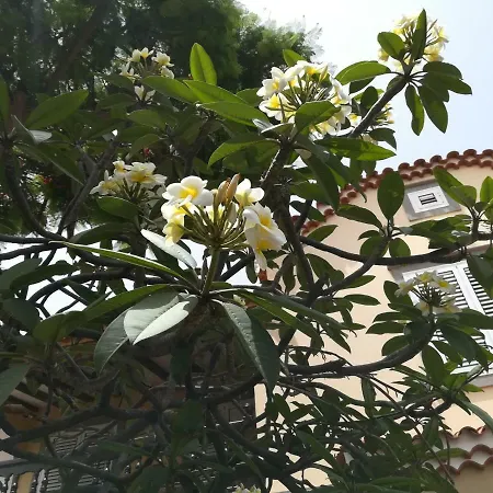 Ciudad Jardin Casa vacanze Las Palmas de Gran Canaria